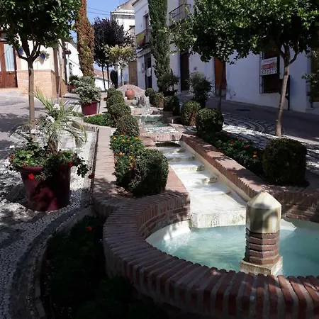 Ama Estepona